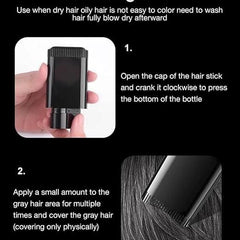 Covering White Hair is Simple and Convenient 20gm - Black