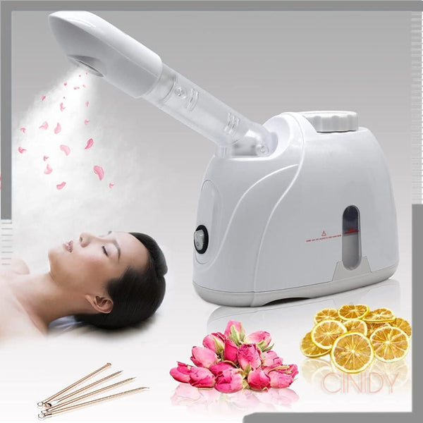 2 in 1 Facial Steamer and Hair Steamer